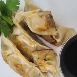 VEGETABLE GYOZA (5)